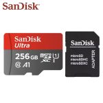 SanDisk-256GB